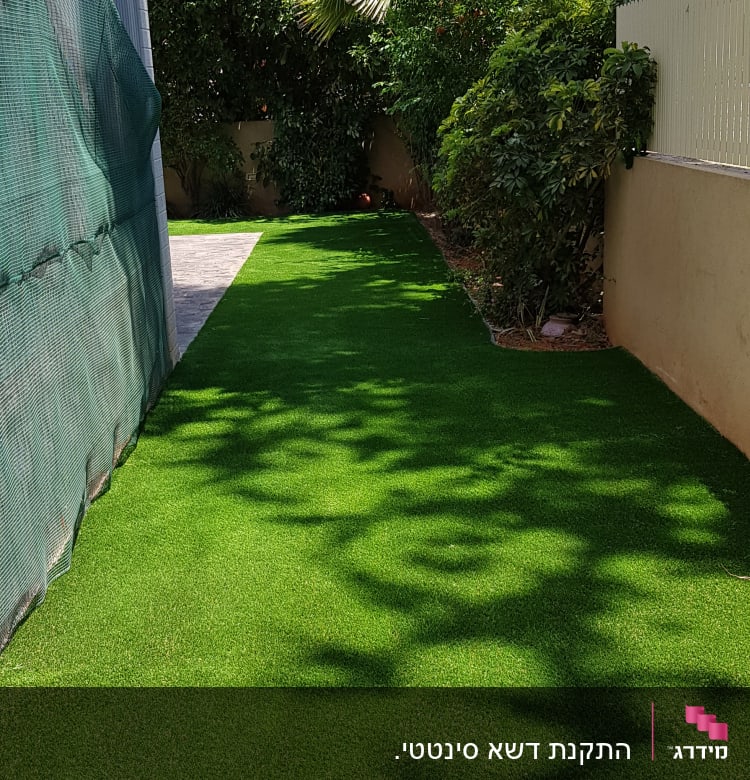 דשא ירוק עם עצים מסביב